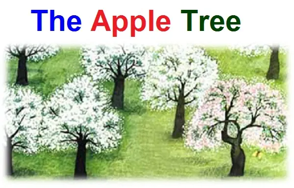 The Apple Tree Story for Children
