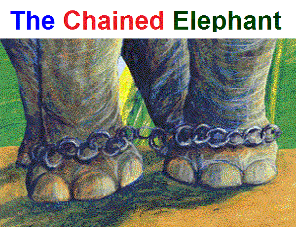 The Chained Elephant Short Story for Kids