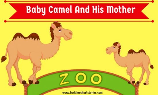 Baby Camel And His Mother Kids Story Short Stories For Kids