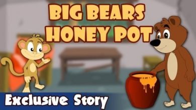 Big Bear’s Honey Pot
