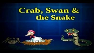 Crab, Swan And The Snake - English kids stories