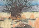 The Baobab Treasure