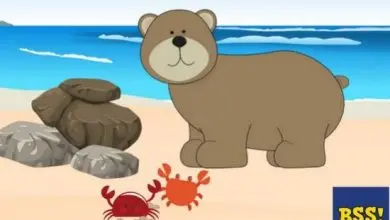 The Bear And The Crabs - New kids stories
