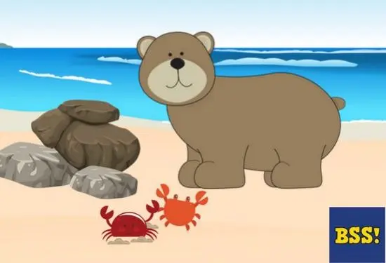 The Bear And The Crabs - New kids stories