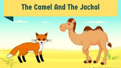 The Camel And The Jackal - short story