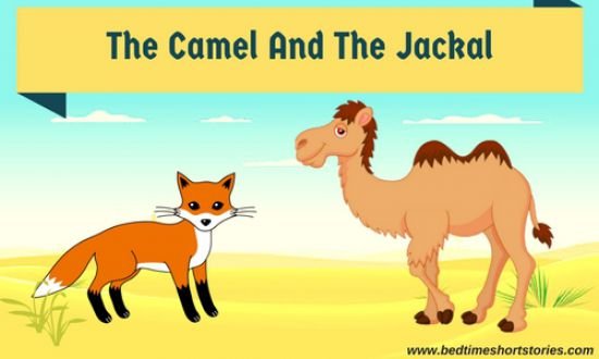 The Camel And The Jackal - short story