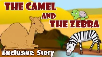 The Camel And The Zebra