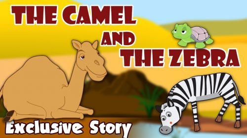 The Camel And The Zebra