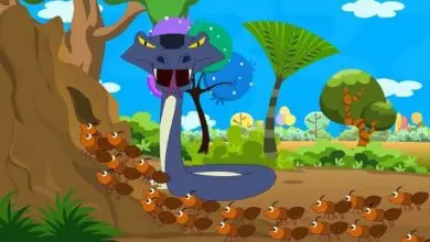 The Cobra And The Ants - kids stories in english