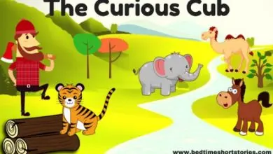 The Curious Cub Story For Kids