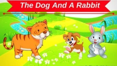 The Dog And The Rabbit