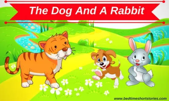 The Dog And The Rabbit