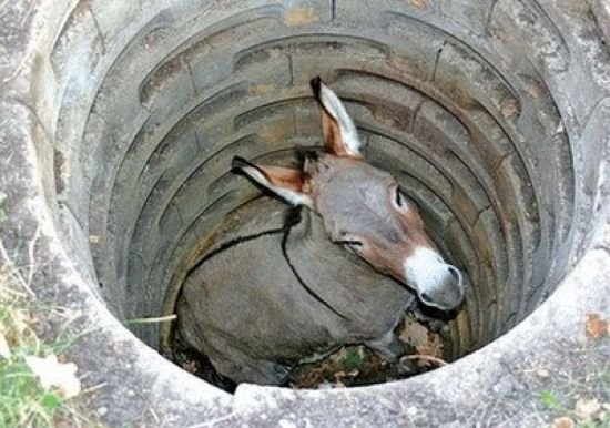 The Donkey In The Well Story - New kids stories
