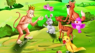 The Fox And The Monkey - kids stories in english