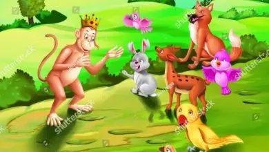 The Fox And The Monkey - kids stories in english