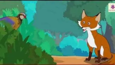 The Fox And The Partridge - New kids stories