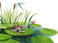 The garden hole