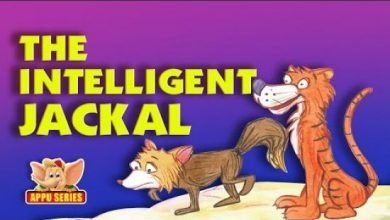 The Intelligent Jackal