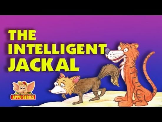 The Intelligent Jackal