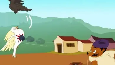 The Wicked Raven - kids stories free
