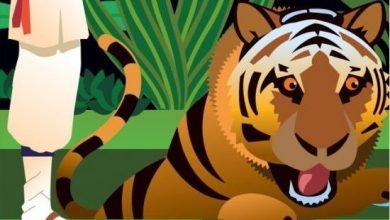 The Woodcutter And The Tiger - kids stories in english