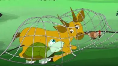 The Woodpecker, Tortoise, and Antelope - kids stories in english